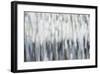 Silver Rain-Karen Lorena Parker-Framed Giclee Print