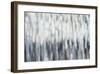 Silver Rain-Karen Lorena Parker-Framed Giclee Print