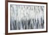 Silver Rain-Karen Lorena Parker-Framed Giclee Print