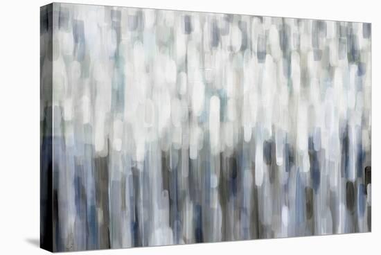 Silver Rain-Karen Lorena Parker-Stretched Canvas