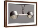 Brown Frame