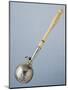 Silver Rattle. France, Mid-19th Century-null-Mounted Giclee Print