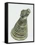 Silver Rhyton Silver in Shape of Ox-Head, from Qasr-I Shirin, Iran-null-Framed Stretched Canvas