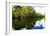 Silver River 7-Alan Hausenflock-Framed Photographic Print