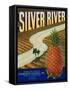 Silver River Pineapple Label - Manati, PR-Lantern Press-Framed Stretched Canvas