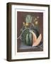 Silver Rock Melon, 1812-George Brookshaw-Framed Giclee Print