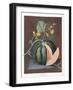 Silver Rock Melon, 1812-George Brookshaw-Framed Giclee Print