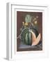 Silver Rock Melon, 1812-George Brookshaw-Framed Giclee Print