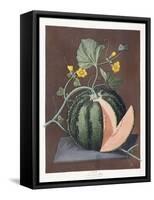 Silver Rock Melon, 1812-George Brookshaw-Framed Stretched Canvas