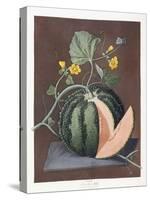 Silver Rock Melon, 1812-George Brookshaw-Stretched Canvas
