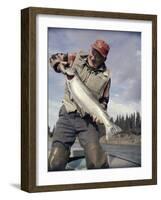 Silver Salmon, Kenai River, Alaska, USA-null-Framed Photographic Print