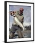 Silver Salmon, Kenai River, Alaska, USA-null-Framed Photographic Print