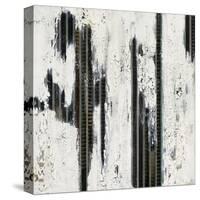 Silver Screen IV-Tyson Estes-Stretched Canvas