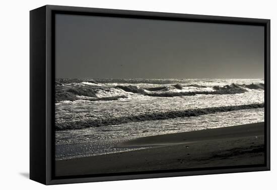 Silver Sea II-Alan Hausenflock-Framed Stretched Canvas