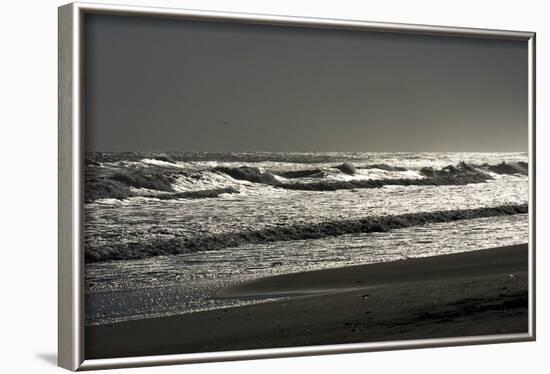 Silver Sea II-Alan Hausenflock-Framed Photographic Print