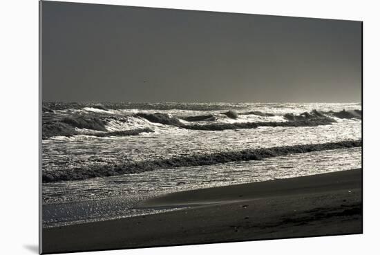 Silver Sea II-Alan Hausenflock-Mounted Photographic Print