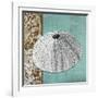 Silver Sea Urchin-Megan Aroon Duncanson-Framed Giclee Print
