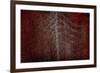 Silver Sentinel-Doug Chinnery-Framed Giclee Print