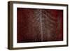 Silver Sentinel-Doug Chinnery-Framed Giclee Print