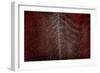 Silver Sentinel-Doug Chinnery-Framed Giclee Print