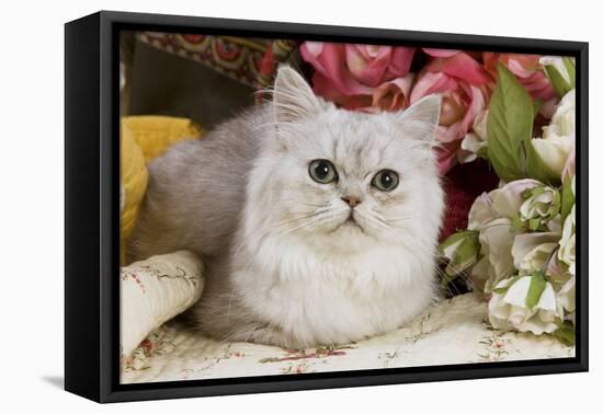 Silver Shaded Persian-null-Framed Stretched Canvas