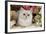 Silver Shaded Persian-null-Framed Photographic Print