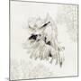 Silver Shell II-Aimee Wilson-Mounted Premium Giclee Print
