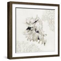 Silver Shell II-Aimee Wilson-Framed Art Print