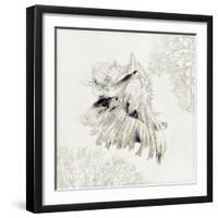 Silver Shell II-Aimee Wilson-Framed Art Print