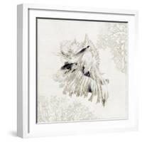 Silver Shell II-Aimee Wilson-Framed Art Print