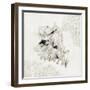 Silver Shell II-Aimee Wilson-Framed Premium Giclee Print