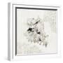Silver Shell II-Aimee Wilson-Framed Premium Giclee Print