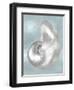 Silver Shell on Aqua Blue I-Caroline Kelly-Framed Art Print