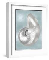 Silver Shell on Aqua Blue I-Caroline Kelly-Framed Art Print