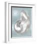 Silver Shell on Aqua Blue I-Caroline Kelly-Framed Art Print