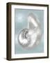 Silver Shell on Aqua Blue I-Caroline Kelly-Framed Art Print