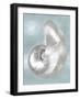 Silver Shell on Aqua Blue I-Caroline Kelly-Framed Art Print