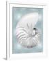 Silver Shell on Aqua Blue II-Caroline Kelly-Framed Art Print