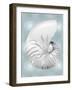 Silver Shell on Aqua Blue II-Caroline Kelly-Framed Art Print