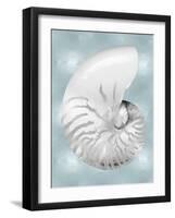 Silver Shell on Aqua Blue II-Caroline Kelly-Framed Art Print