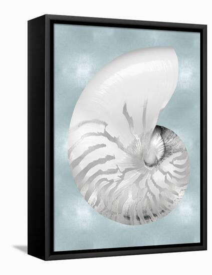 Silver Shell on Aqua Blue II-Caroline Kelly-Framed Stretched Canvas