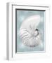 Silver Shell on Aqua Blue II-Caroline Kelly-Framed Art Print