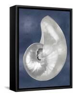 Silver Shell on Indigo Blue I-Caroline Kelly-Framed Stretched Canvas