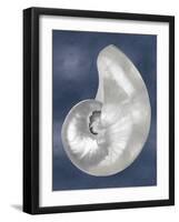 Silver Shell on Indigo Blue I-Caroline Kelly-Framed Art Print