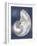 Silver Shell on Indigo Blue I-Caroline Kelly-Framed Art Print