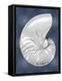 Silver Shell on Indigo Blue II-Caroline Kelly-Framed Stretched Canvas