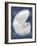 Silver Shell on Indigo Blue II-Caroline Kelly-Framed Art Print