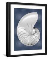 Silver Shell on Indigo Blue II-Caroline Kelly-Framed Art Print