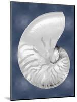 Silver Shell on Indigo Blue II-Caroline Kelly-Mounted Art Print