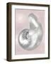 Silver Shell on Pink Blush I-Caroline Kelly-Framed Art Print